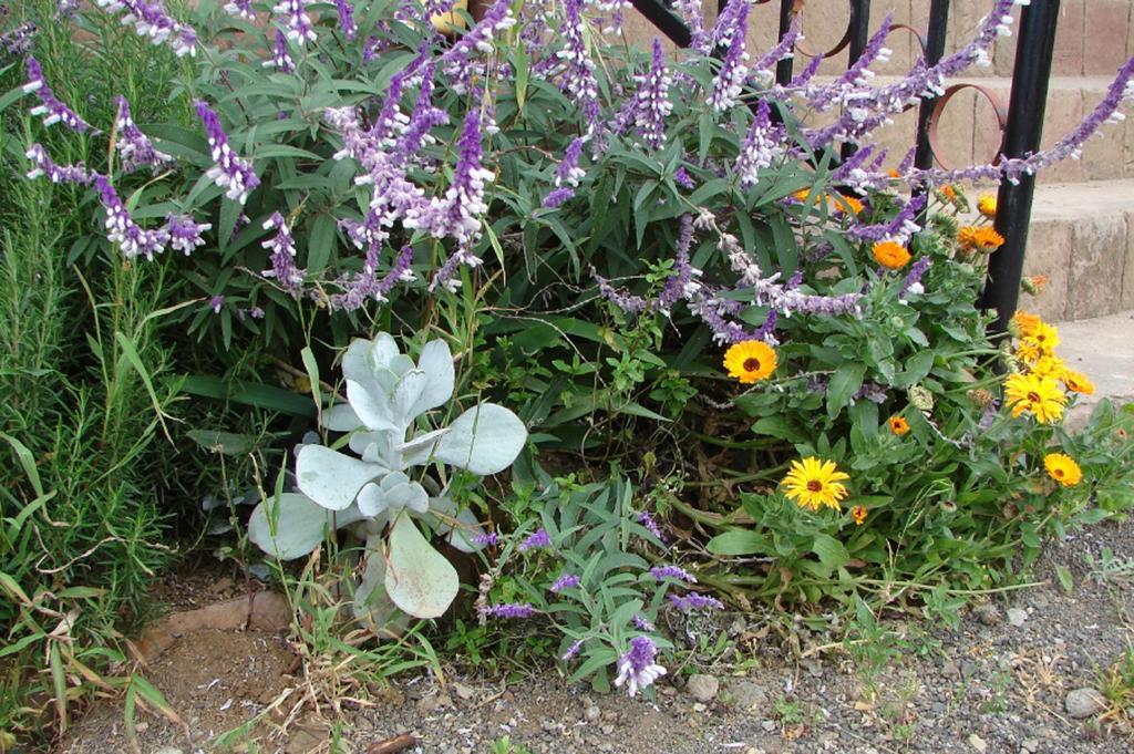 Villa Lalibela Guesthouse 部屋 写真